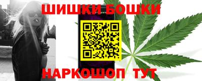 индика Будённовск