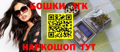 индика Будённовск